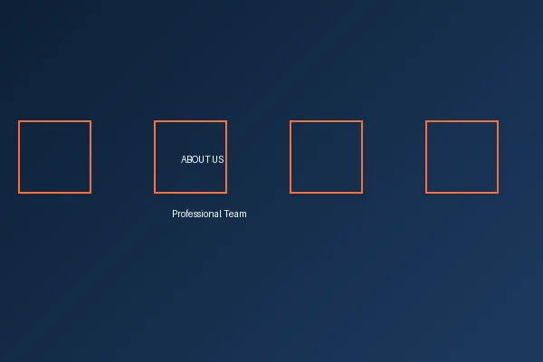 伟德体育官方网站 - 官方平台入口专业团队合影